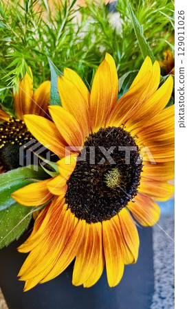 Bright yellow flowers 129011026