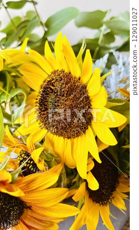 Sunflower shining in the summer sun Sunflower shining in the summer sun 129011027