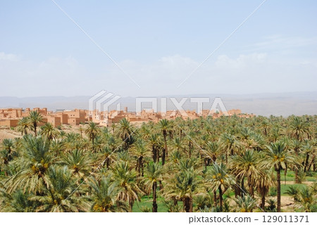 Aerial view of a Oasis in desert, UAE 129011371