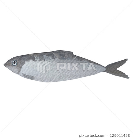 A gorgeous hand painted watercolor fish on a white background. Ideal for postcards, printing on wallpaper, fabric A gorgeous hand painted watercolor fish on a white background. Ideal for postcards, printing on wallpaper, fabric 129011438