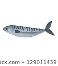 A gorgeous watercolor fish on a white background. Ideal for postcards, printing on wallpaper, fabric 129011439