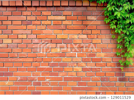 Red brick wall and ivy 129011529