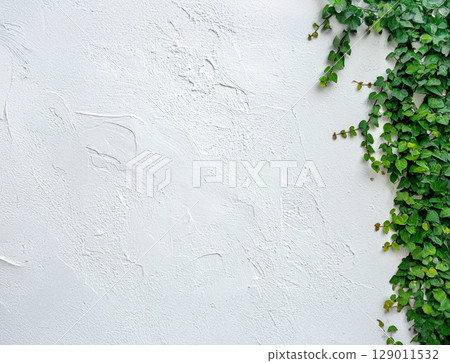 White wall and ivy 129011532