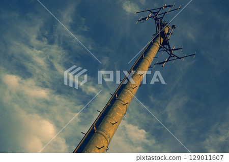 Electric pole bathed in the setting sun 129011607