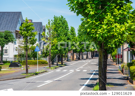 安靜的住宅區,街道樹木美麗 安靜的住宅區,街道樹木美麗 129011629