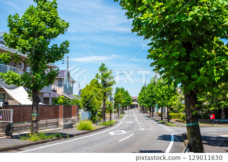 安靜的住宅區，街道樹木美麗 129011630