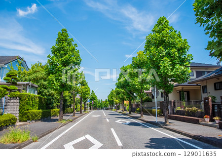 安靜的住宅區，沒有電線桿或電線 129011635