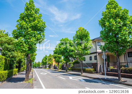 安靜的住宅區，沒有電線桿或電線 129011636