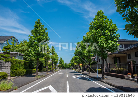 A quiet residential area with no utility poles or wires A quiet residential area with no utility poles or wires 129011646