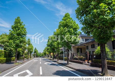 A quiet residential area with no utility poles or wires 129011647