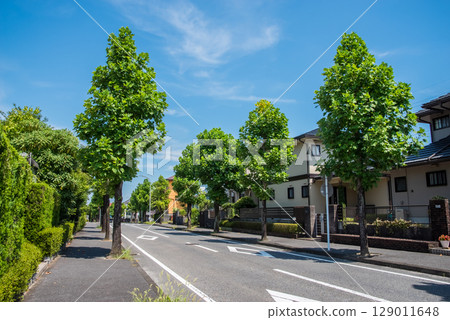 安靜的住宅區，沒有電線桿或電線 129011648