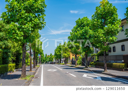 安靜的住宅區,沒有電線桿或電線 安靜的住宅區,沒有電線桿或電線 129011650