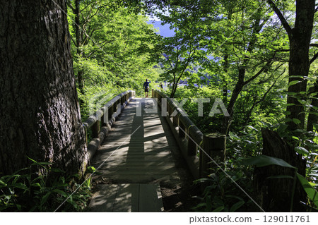 A small wooden bridge surrounded by forest and walkers near Tashiro Bridge in Kamikochi 129011761