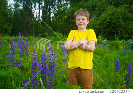 A young boy in a yellow shirt is enjoying natures beauty in a field of purple lupines. 129012274