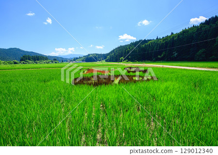 秋田內陸線沿線:秋田縣的稻田藝術和遠處的森吉山景色 秋田內陸線沿線:秋田縣的稻田藝術和遠處的森吉山景色 129012340