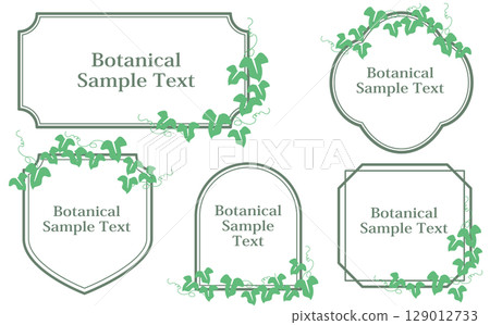 常春藤植物美麗的葉子裝飾設計框架插圖素材集 129012733