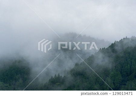 雨季降雨導致山上霧氣瀰漫 29 129013471