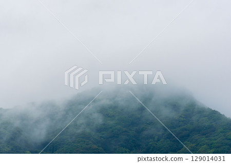 Rainy season rain creates mist in the mountains 01 Rainy season rain creates mist in the mountains 01 129014031