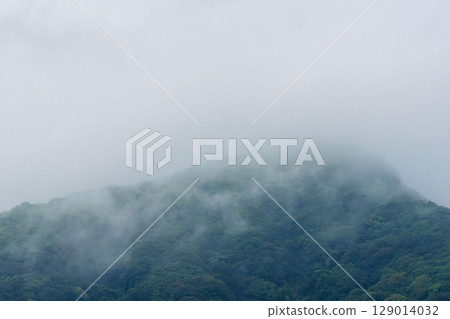 Rainy season rain creates mist in the mountains 02 129014032