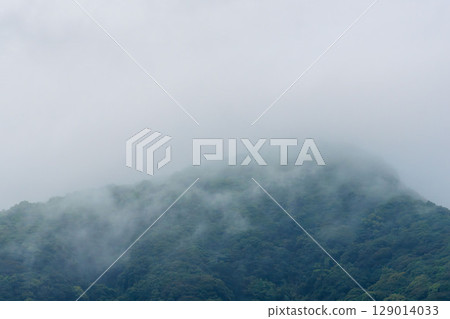 Rainy season rain creates mist in the mountains 03 Rainy season rain creates mist in the mountains 03 129014033