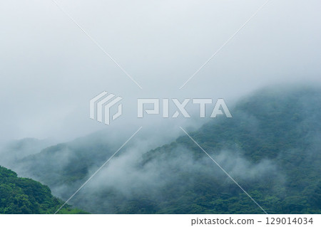 雨季的雨水在山上形成霧氣 04 129014034