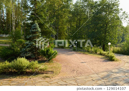 A Peaceful Pathway Meanders Through Lush Greenery Surrounded by Nature in a Beautiful Park 129014107