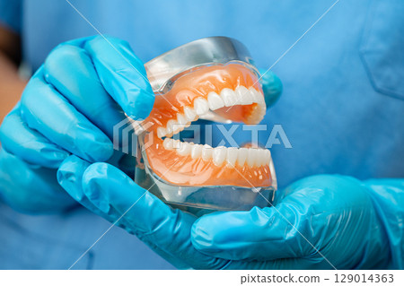 Denture, dentist holding dental teeth model to study and treat in hospital. Denture, dentist holding dental teeth model to study and treat in hospital. 129014363