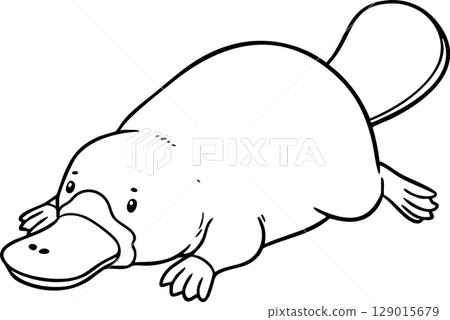 Platypus Resting Coloring Page 129015679
