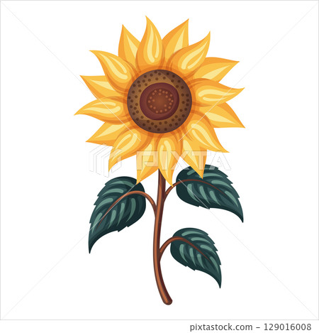 Sunflower with green leaf vector flower in detailed cartoon style. Bright yellow petal and round center in nature design. Great for garden card or book illustration. Perfect for harvest art and logo. Sunflower with green leaf vector flower in detailed cartoon style. Bright yellow petal and round center in nature design. Great for garden card or book illustration. Perfect for harvest art and logo. 129016008
