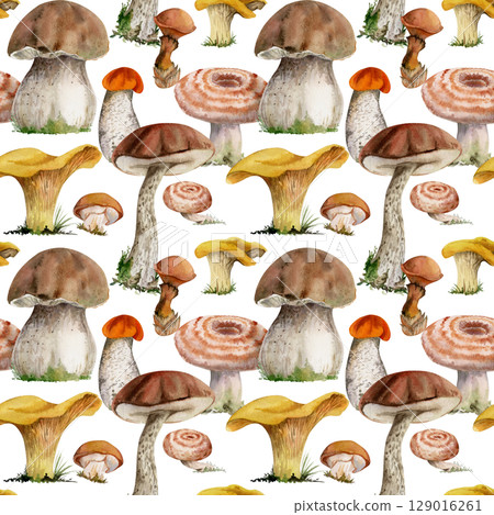 Russula webcap birch bolete suillus slippery jack golden chanterelle girolle fungi. Mushroom natural seamless pattern tile hand drawn in watercolor. Linens tablecloth gift wrapping paper, backgrounds 129016261