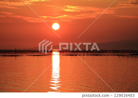 Omuta City Ariake Sea Nori field, Omuta City Ariake Sea Nori field, 129016483