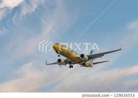 黃昏時分的仙台機場，飛機降落，宮城縣名取市 129016553