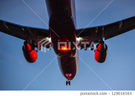 Sendai Airport at dusk, airplane landing, Natori City, Miyagi Prefecture 129016565