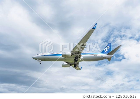 宮城縣名取市仙台機場早晨,飛機降落 宮城縣名取市仙台機場早晨,飛機降落 129016612