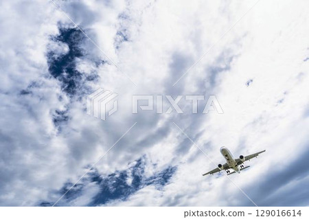Morning Sendai Airport, landing plane, Natori City, Miyagi Prefecture 129016614