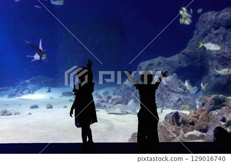 Silhouettes of children in a large aquarium with swimming fish Silhouettes of children in a large aquarium with swimming fish 129016740
