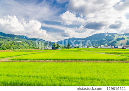 <<Niigata Prefecture>> Summer rural scenery: Uonuma land 129016811