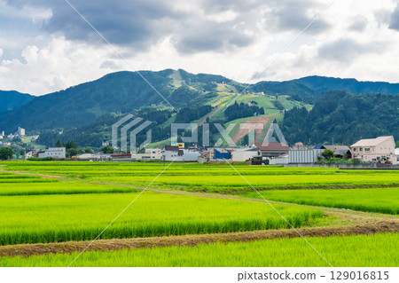 <<Niigata Prefecture>> Summer rural scenery: Uonuma land 129016815