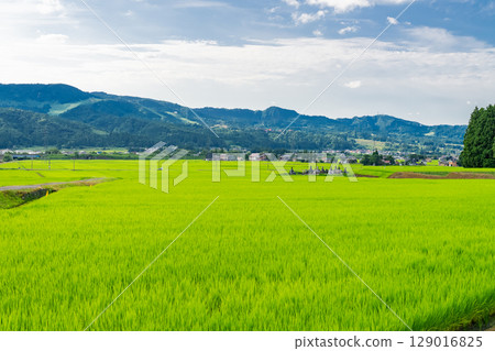 <<Niigata Prefecture>> Summer rural scenery: Uonuma land <<Niigata Prefecture>> Summer rural scenery: Uonuma land 129016825