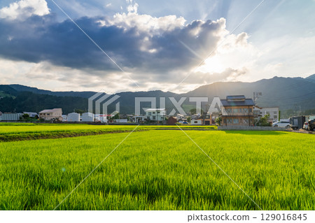 <<Niigata Prefecture>> Summer rural scenery: Uonuma land 129016845