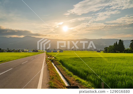 《新潟縣》夏日田園風光:魚沼之地 《新潟縣》夏日田園風光:魚沼之地 129016880