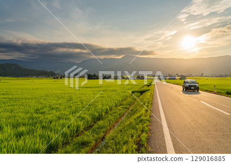 <<Niigata Prefecture>> Summer rural scenery: Uonuma land <<Niigata Prefecture>> Summer rural scenery: Uonuma land 129016885