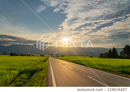 <<Niigata Prefecture>> Summer rural scenery: Uonuma land 129016887