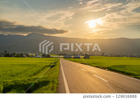 <<Niigata Prefecture>> Summer rural scenery: Uonuma land 129016888
