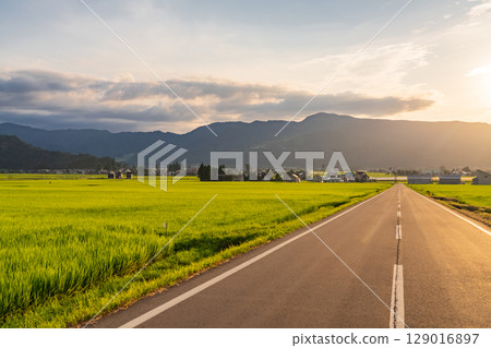 <<Niigata Prefecture>> Summer rural scenery: Uonuma land <<Niigata Prefecture>> Summer rural scenery: Uonuma land 129016897