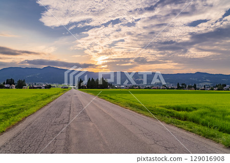 <<Niigata Prefecture>> Summer rural scenery: Uonuma land 129016908