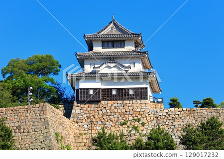 [Kagawa Prefecture] Marugame Castle on a clear May day as seen from the northern inner moat (a famous castle with a surviving castle tower and stone walls) 129017232