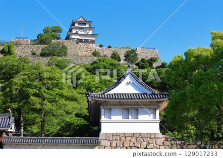 [香川縣]從北側的內護城河看到的五月天氣的丸龜城（現存天守閣和石牆的名城） 129017233