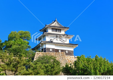 [Kagawa Prefecture] Marugame Castle on a clear May day as seen from the northern inner moat (a famous castle with a surviving castle tower and stone walls) 129017234