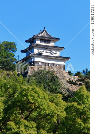 [Kagawa Prefecture] Marugame Castle on a clear May day as seen from the northern inner moat (a famous castle with a surviving castle tower and stone walls) 129017235